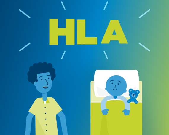 What is HLA?